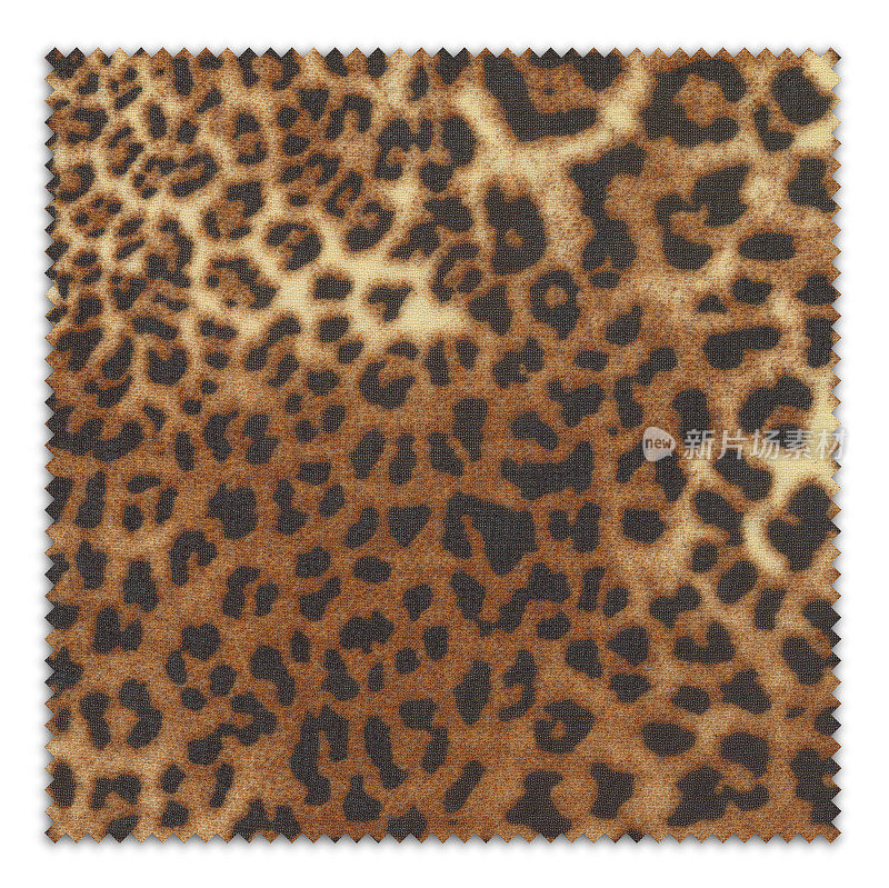 Brown Leopard Swatch(剪切路径)